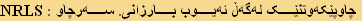 NRLS : چاوپێکەوتنێک لەگەڵ ئەیوب بارزانی. سەرچاو